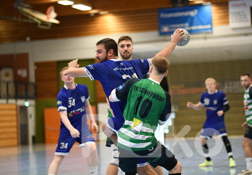 2. Herren Handball
